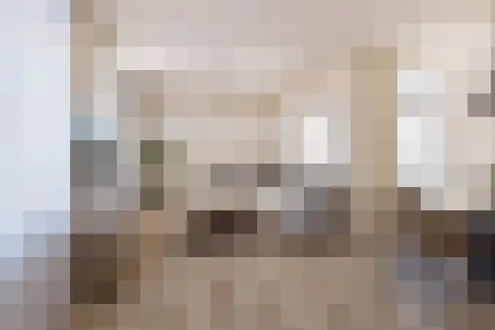 Boterstraat 17 Oss thumbnail 5