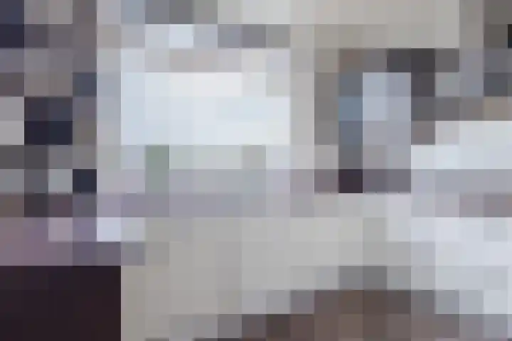 Boterstraat 18 H Oss thumbnail 7