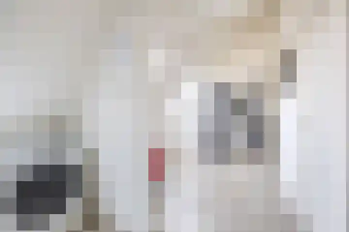 Boterstraat 19 Brielle thumbnail 17