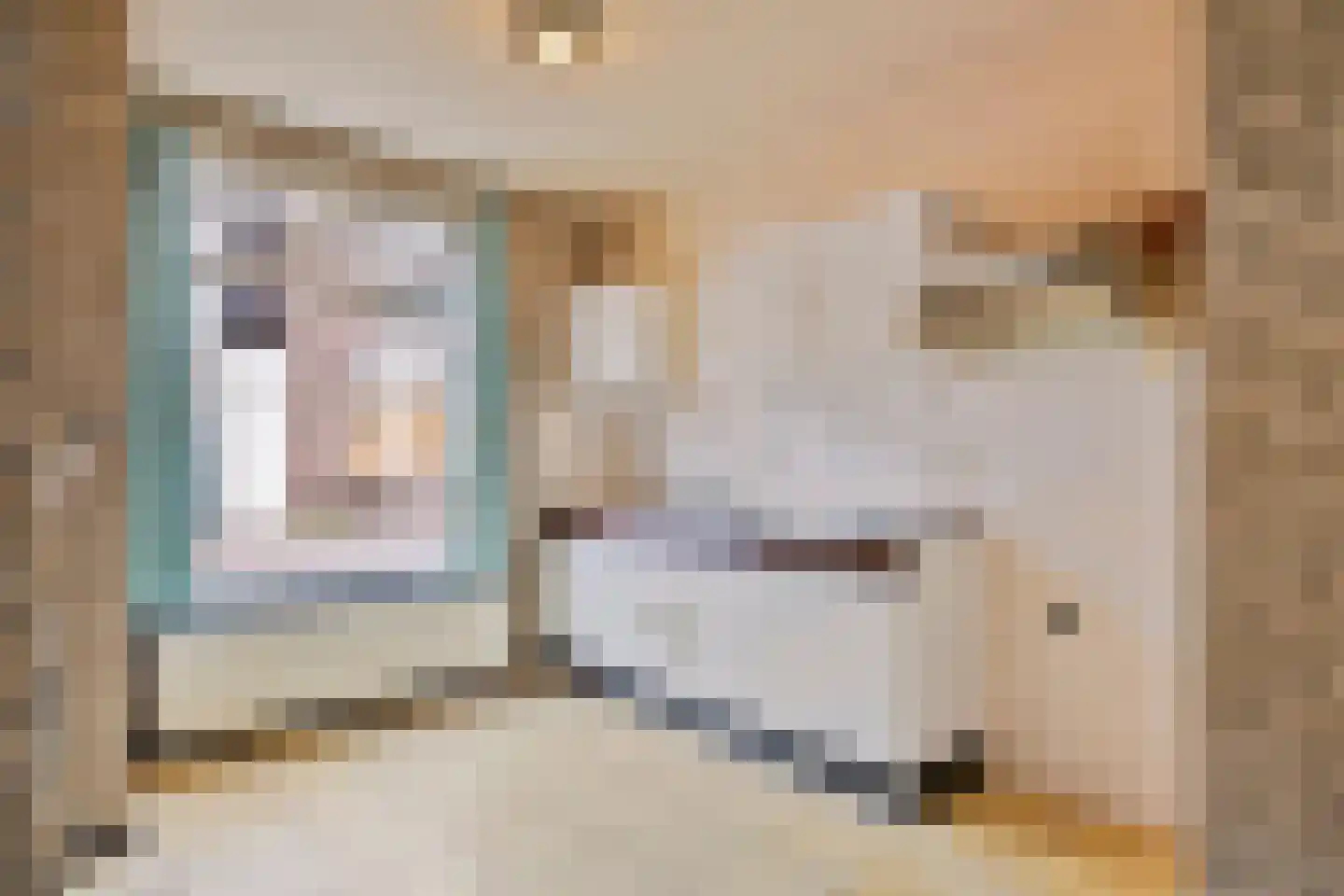 Boterstraat 2 Oss thumbnail 12