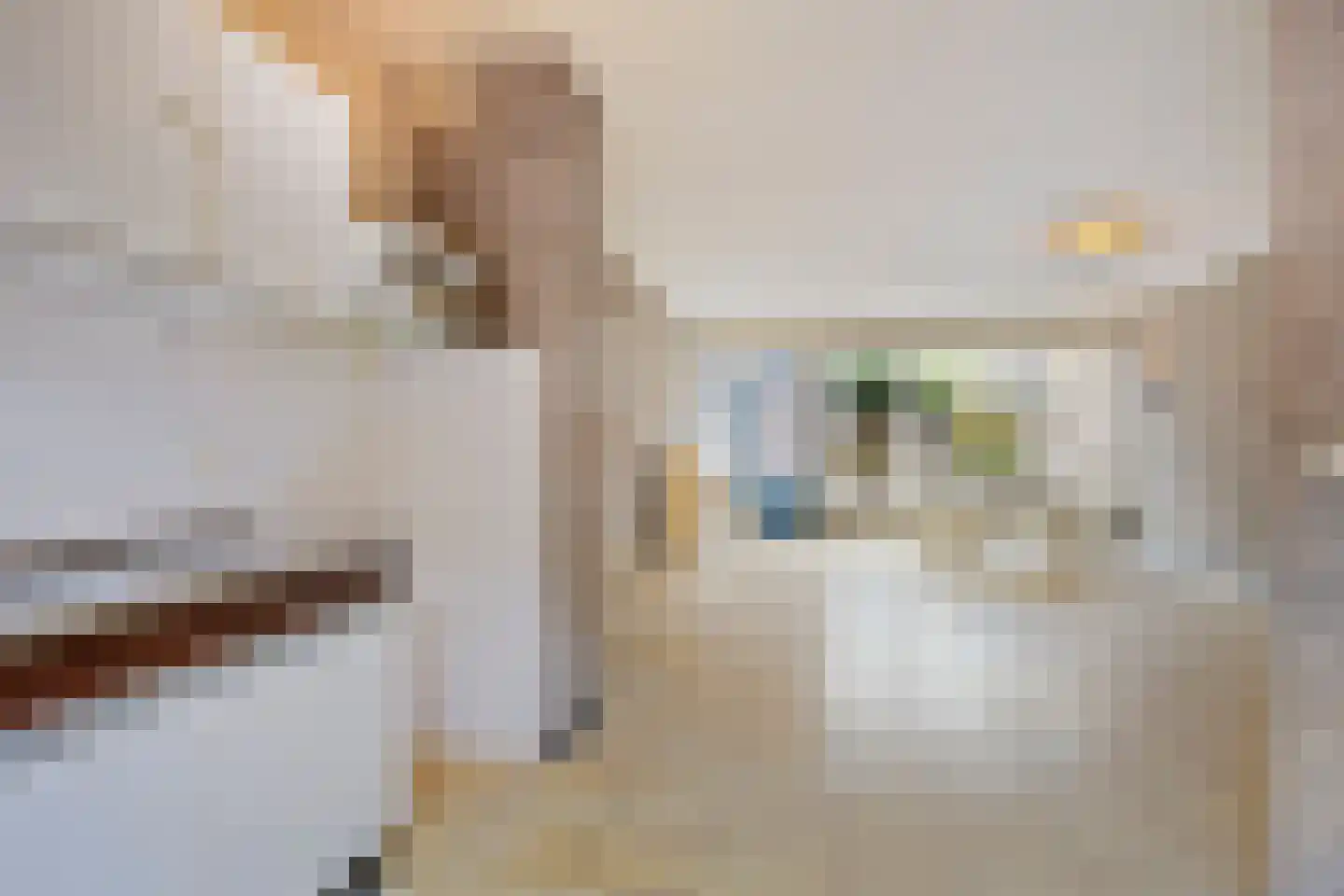 Boterstraat 2 Oss thumbnail 13