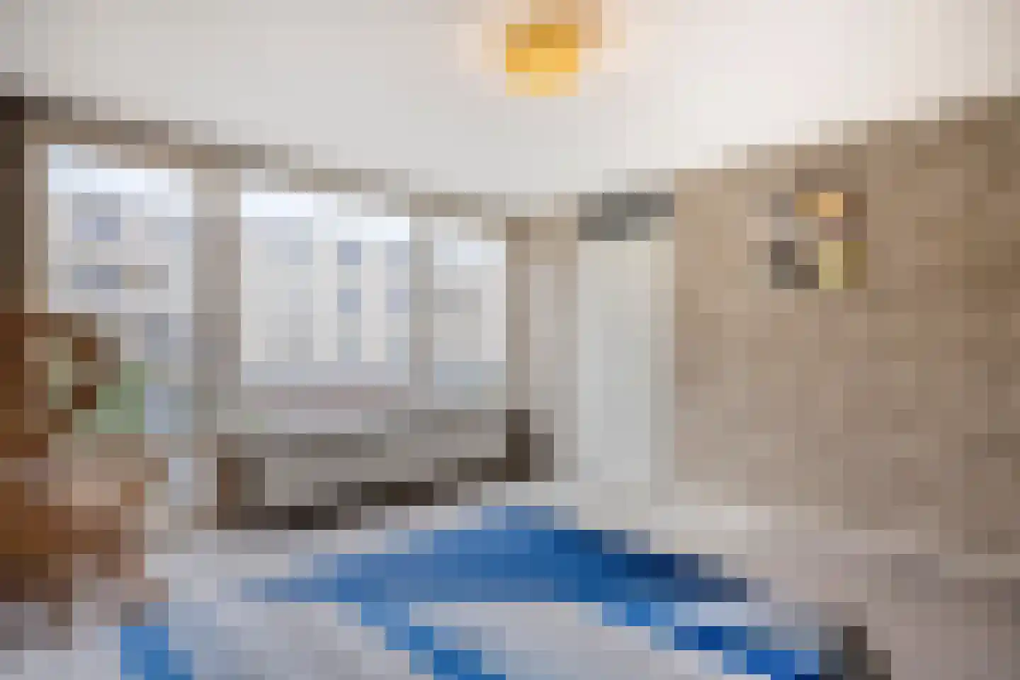 Boterstraat 2 Oss thumbnail 19