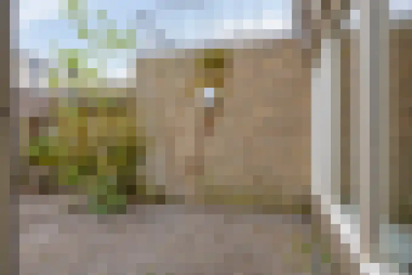 Boterstraat 2 Oss thumbnail 38
