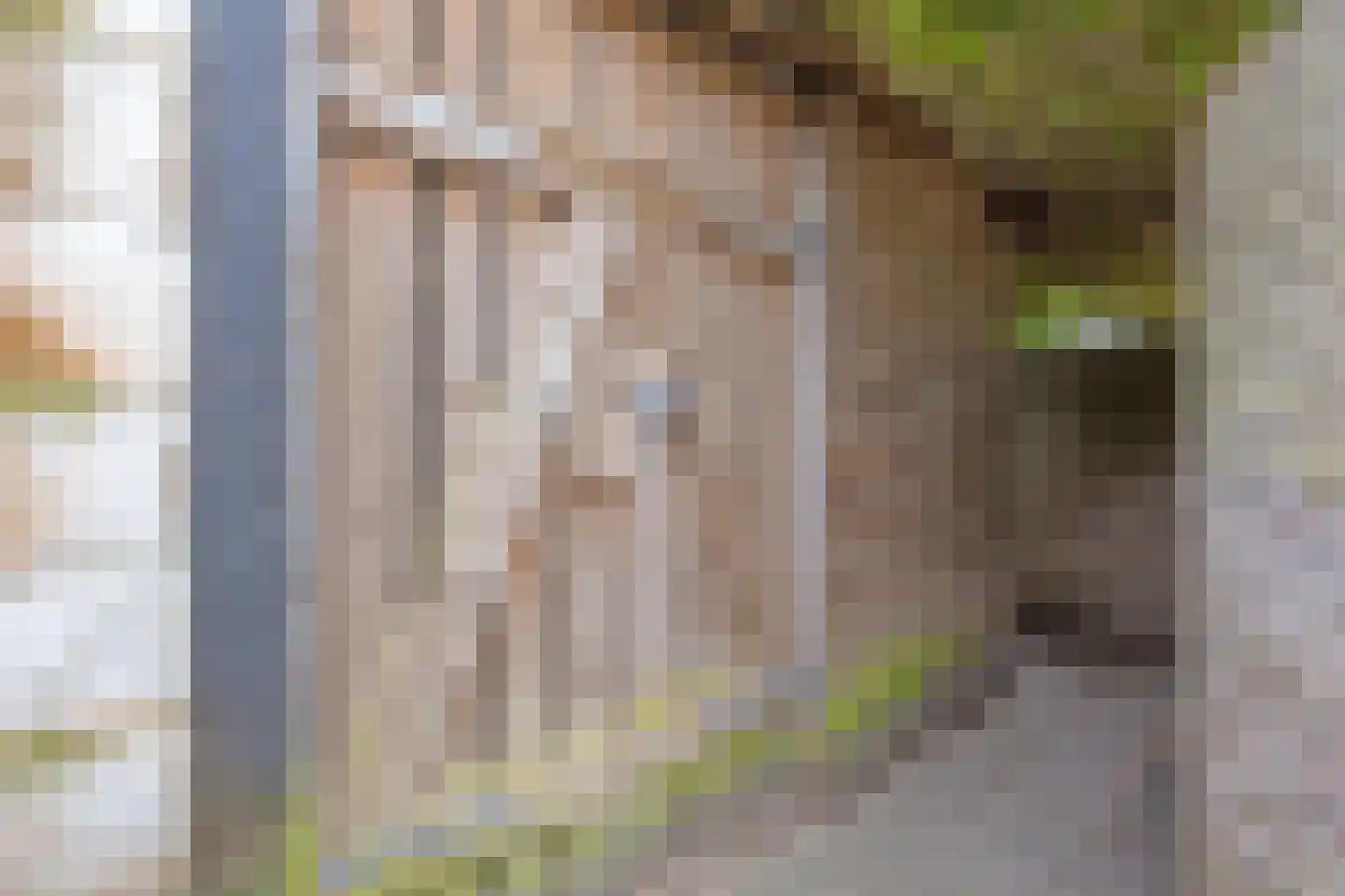 Boterstraat 2 Oss thumbnail 41