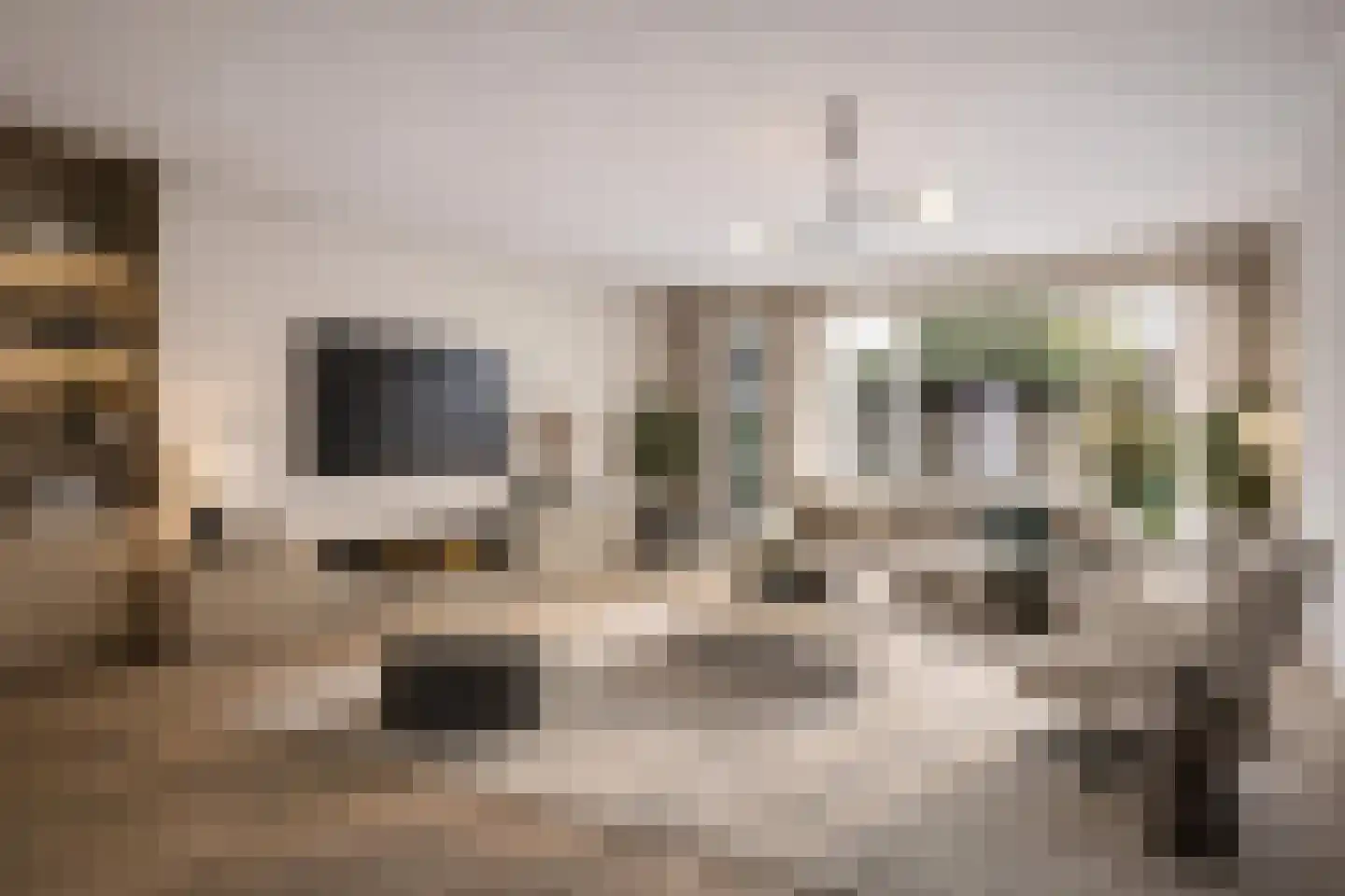 Boterstraat 2 Oss thumbnail 6