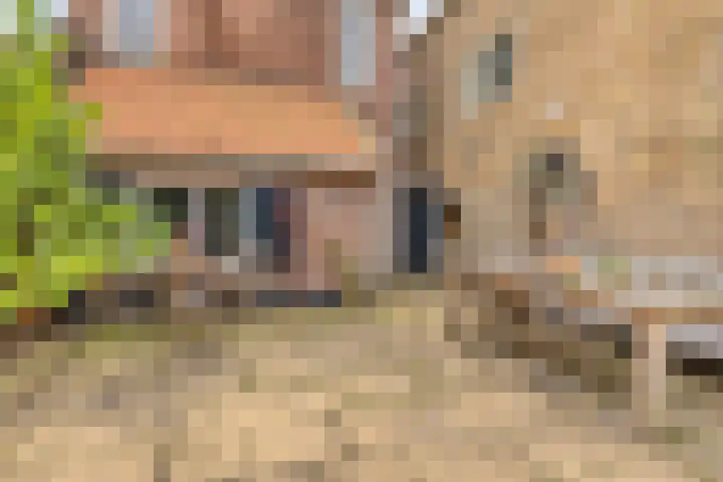 Boterstraat 2 Schiedam thumbnail 35