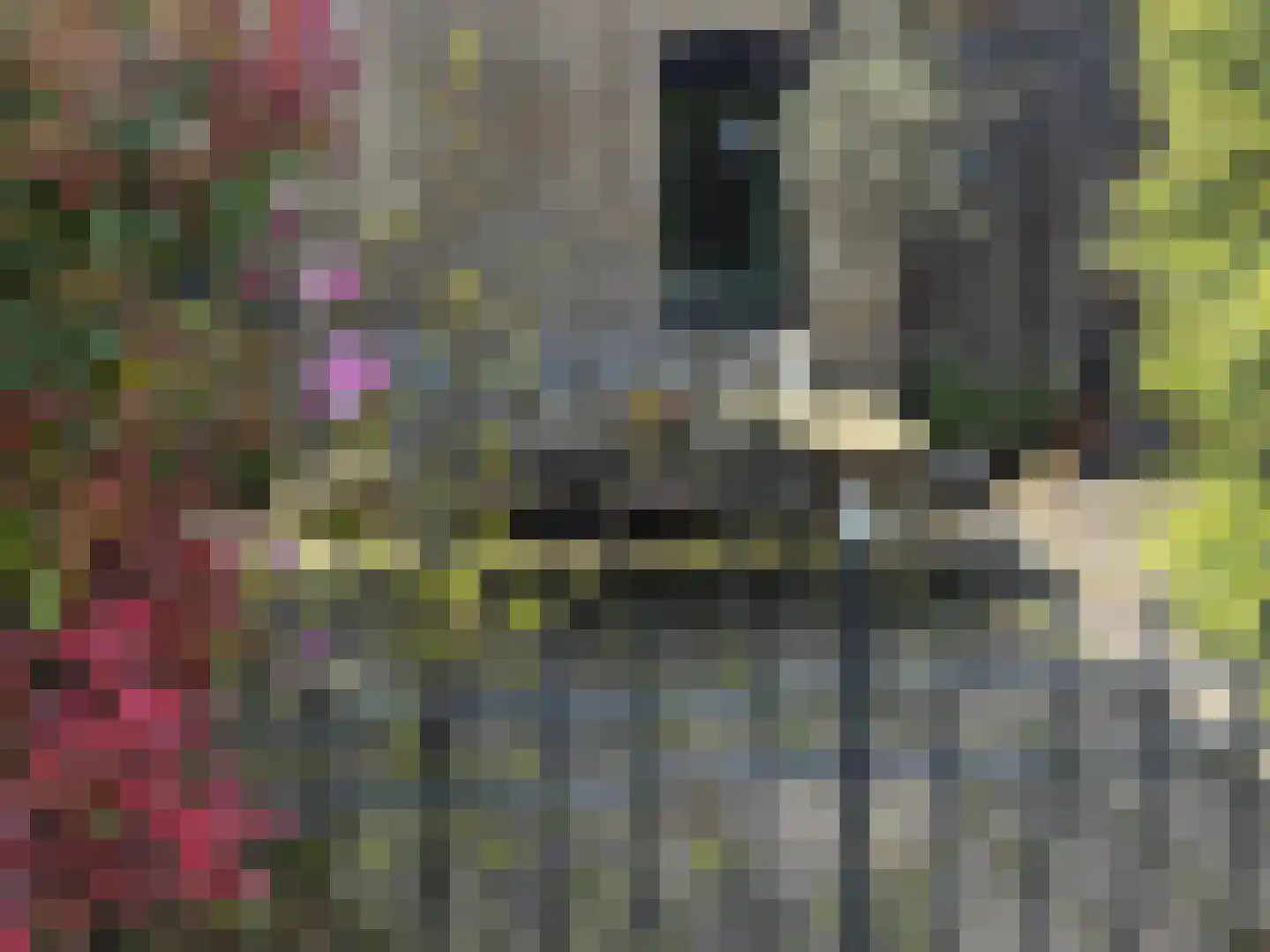 Boterstraat 2 Schiedam thumbnail 52