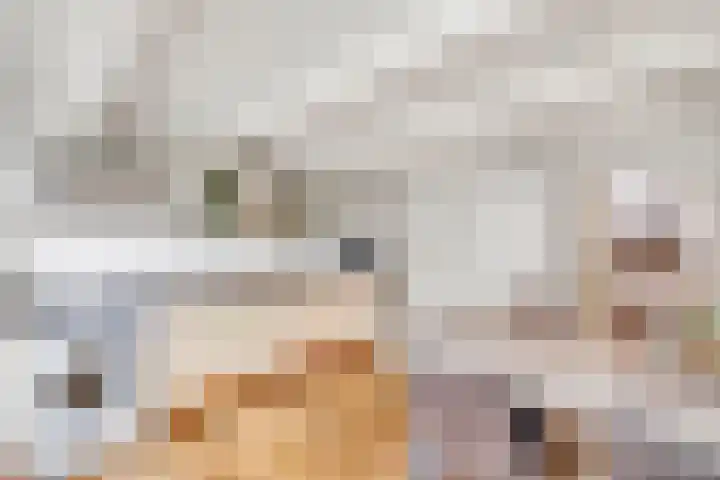 Boterstraat 3 a Brielle thumbnail 13