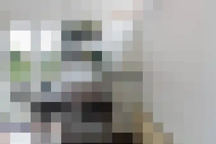 Boterstraat 3 b Brielle thumbnail 12