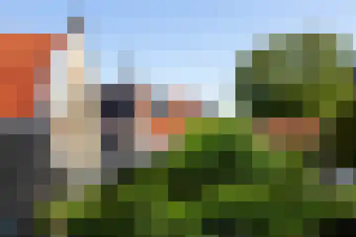 Boterstraat 3 b Brielle thumbnail 8