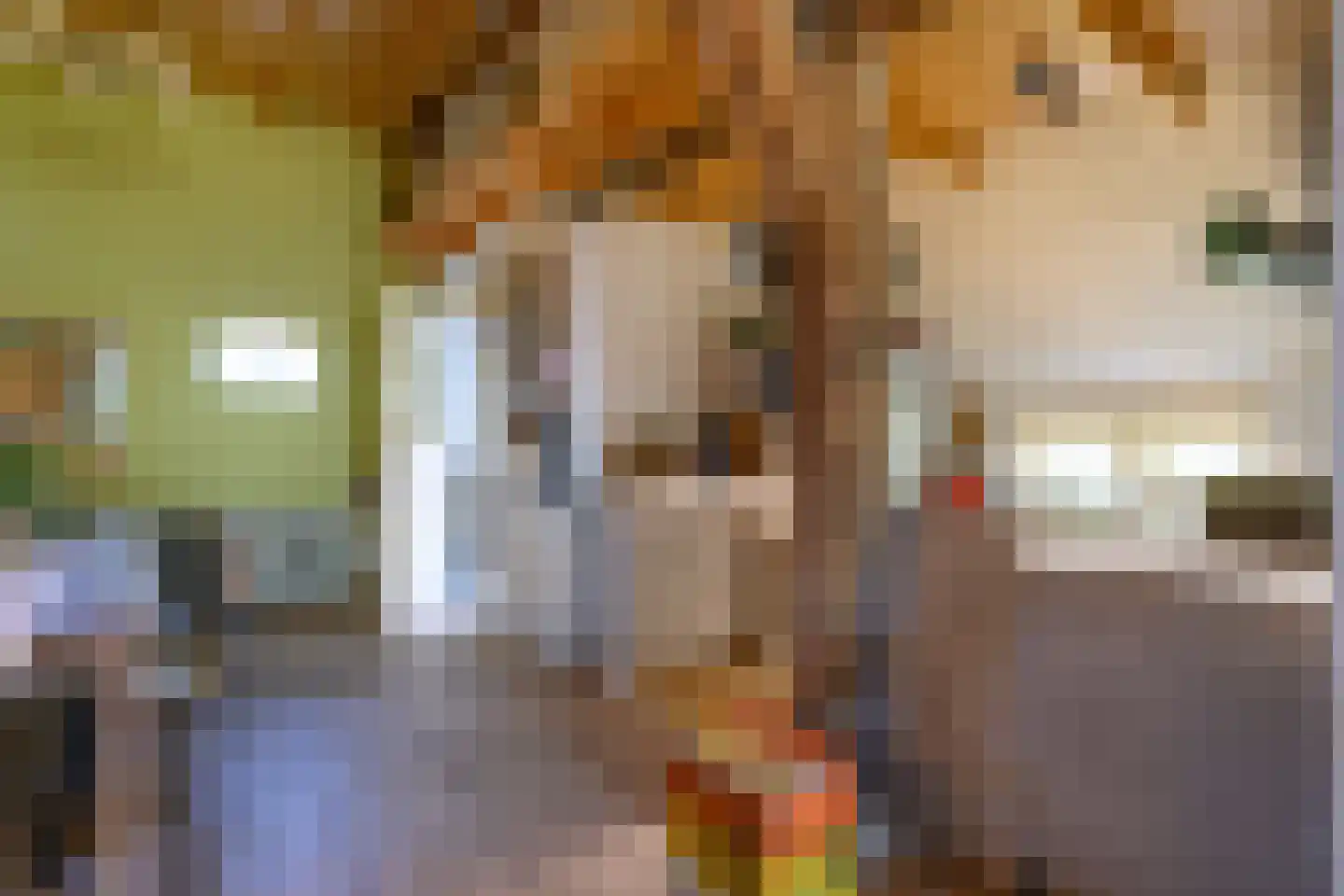 Boterstraat 3 Bronkhorst thumbnail 10