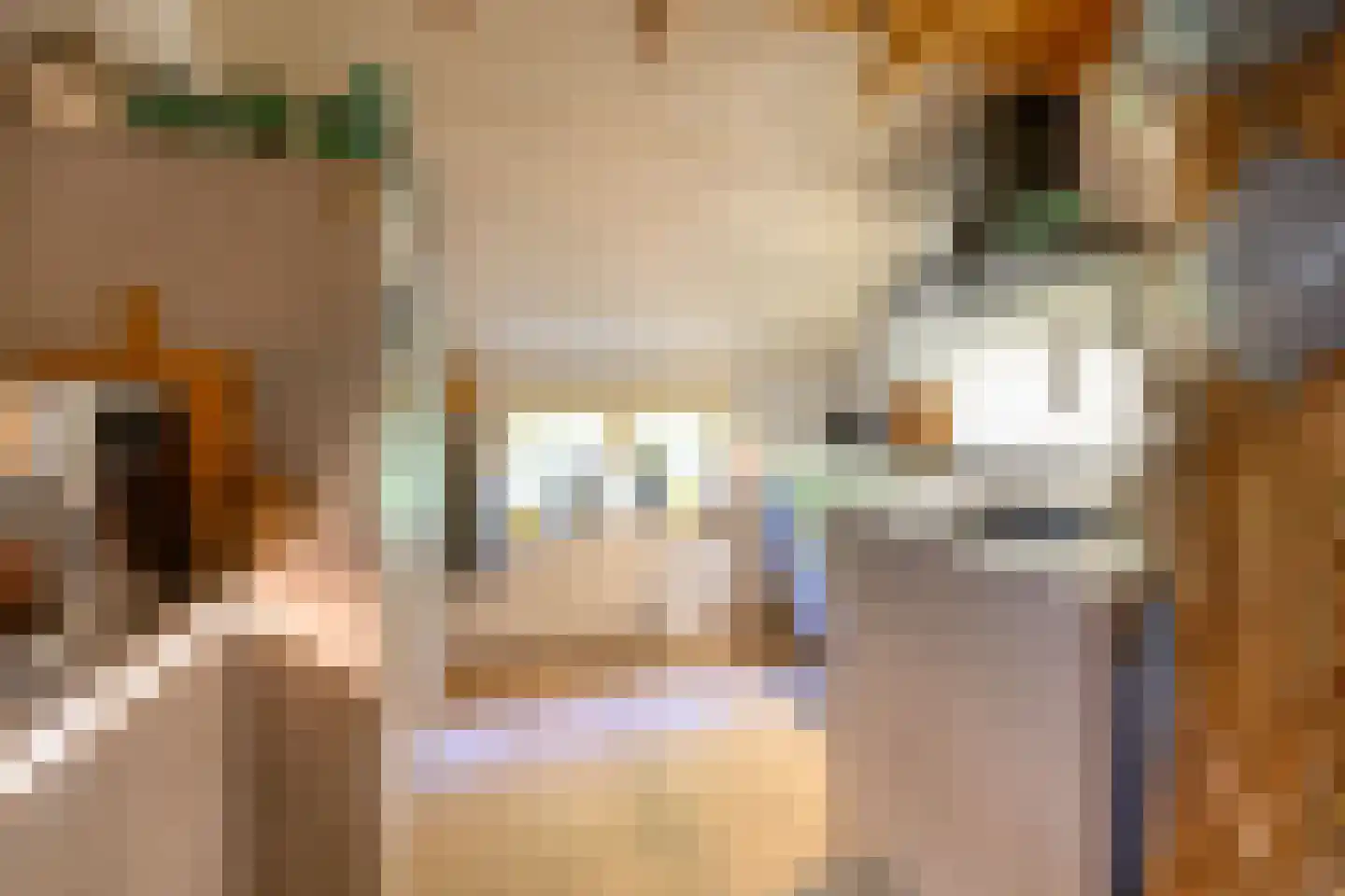 Boterstraat 3 Bronkhorst thumbnail 11