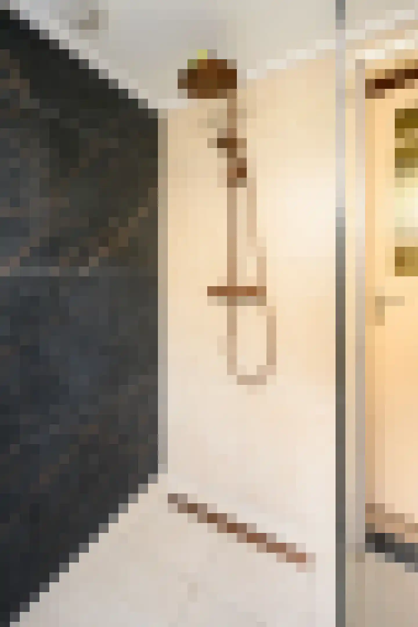 Boterstraat 3 Bronkhorst thumbnail 14