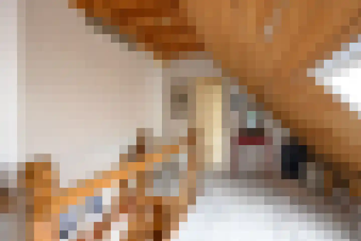 Boterstraat 3 Bronkhorst thumbnail 15