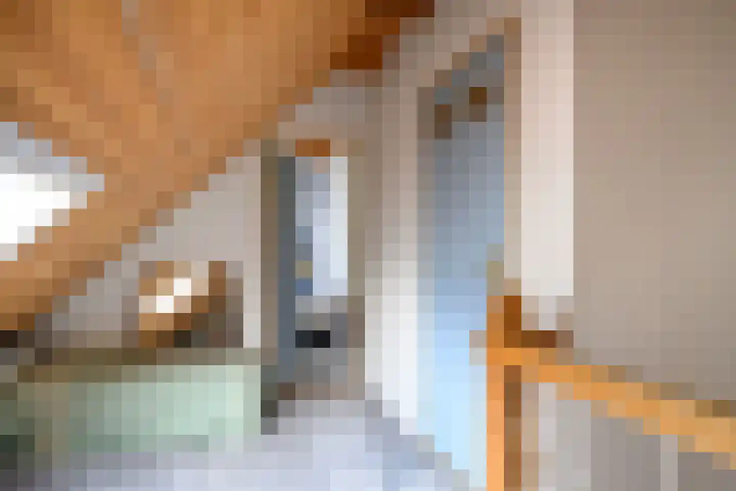 Boterstraat 3 Bronkhorst thumbnail 18