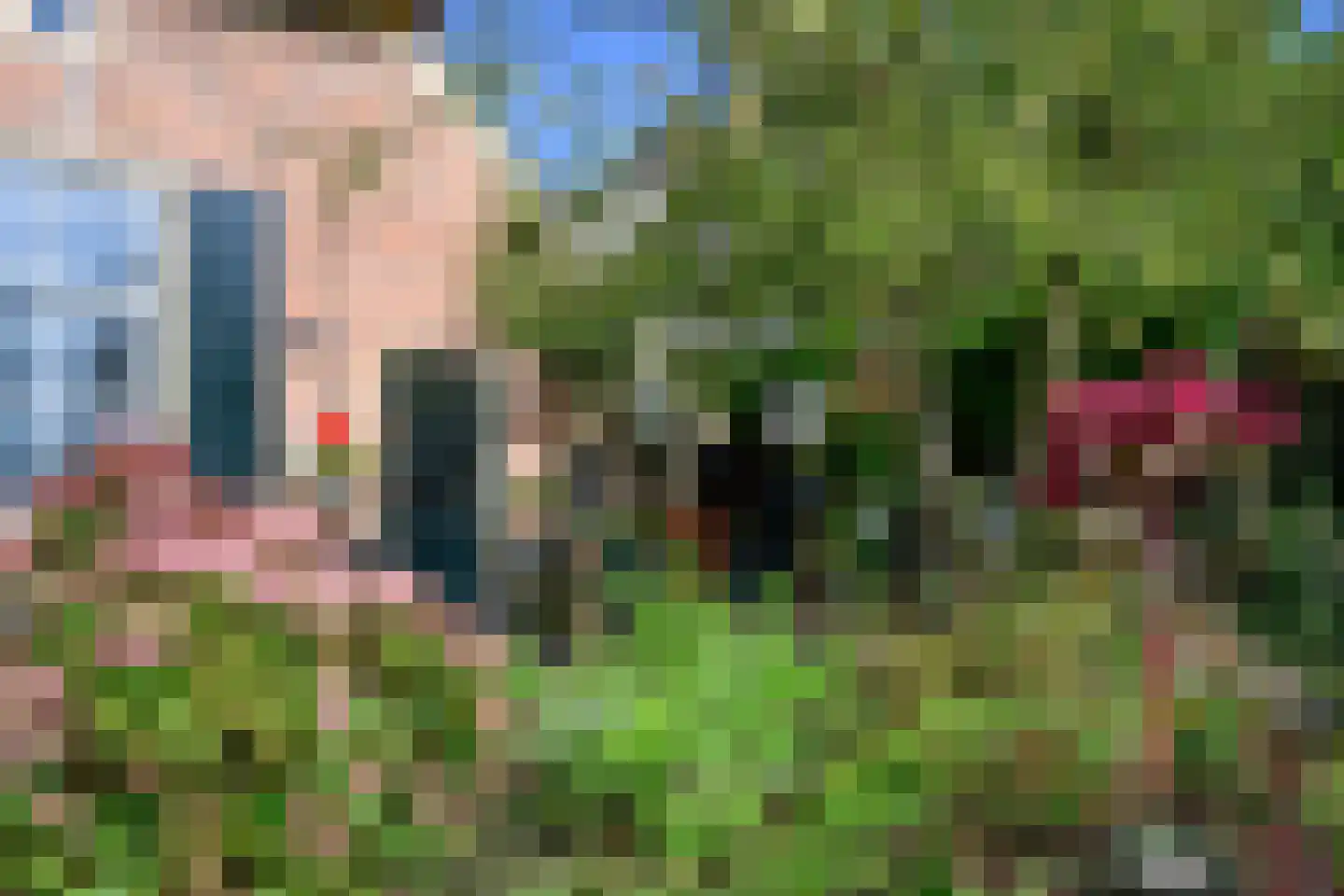Boterstraat 3 Bronkhorst thumbnail 24