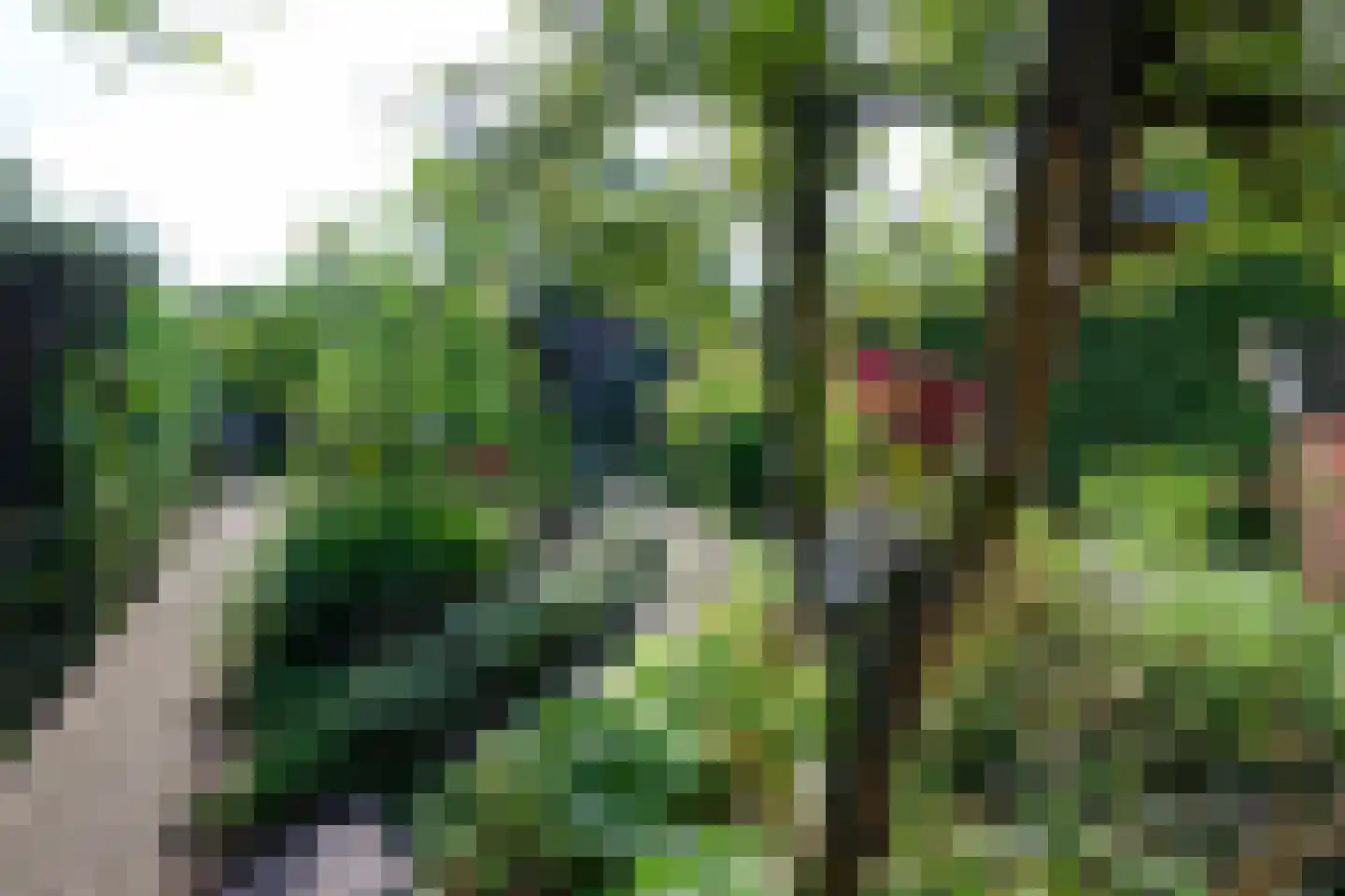 Boterstraat 3 Bronkhorst thumbnail 25