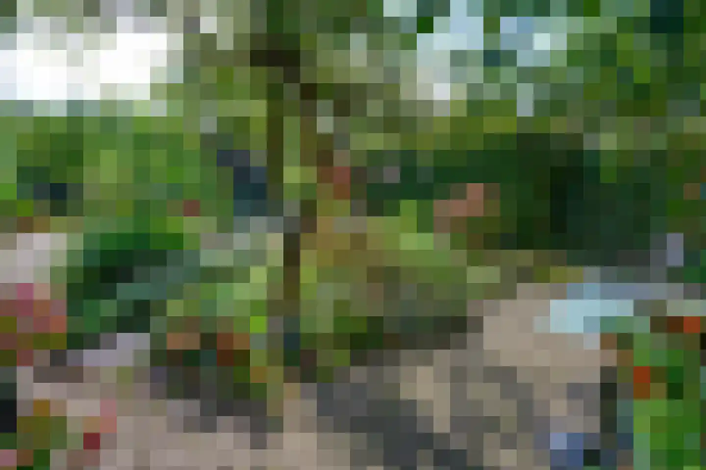 Boterstraat 3 Bronkhorst thumbnail 27