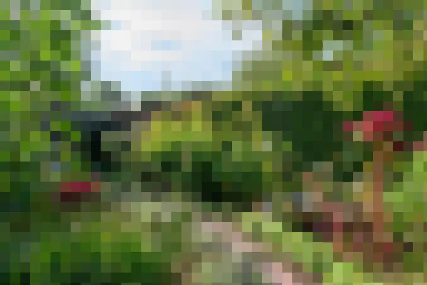 Boterstraat 3 Bronkhorst thumbnail 28