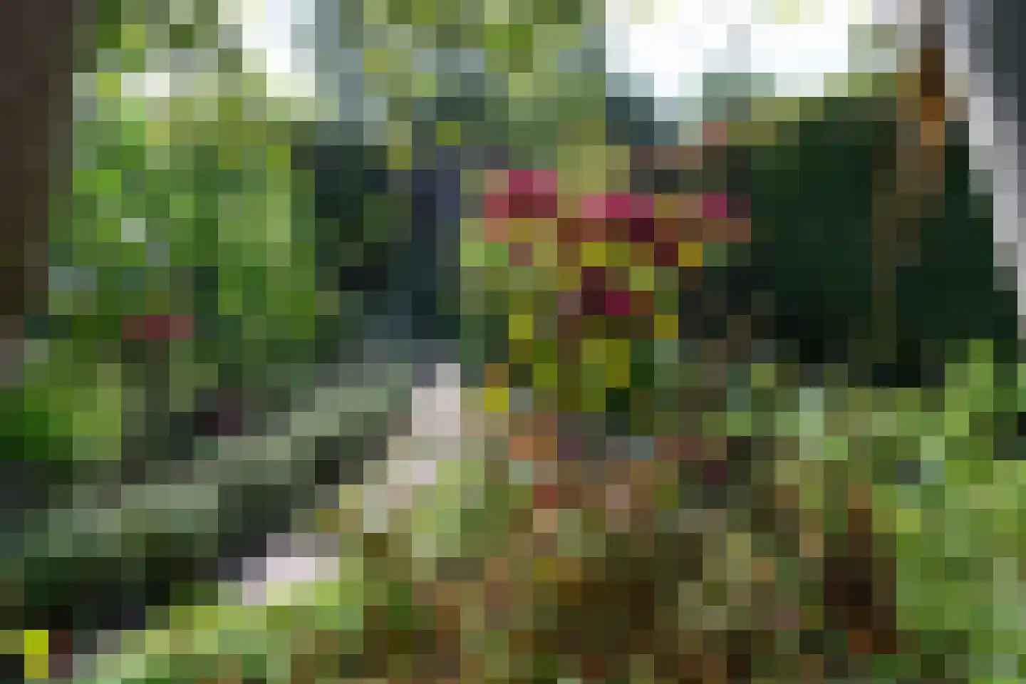Boterstraat 3 Bronkhorst thumbnail 29
