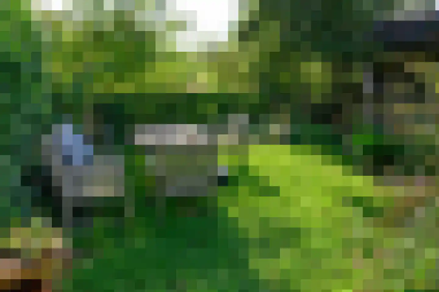 Boterstraat 3 Bronkhorst thumbnail 30