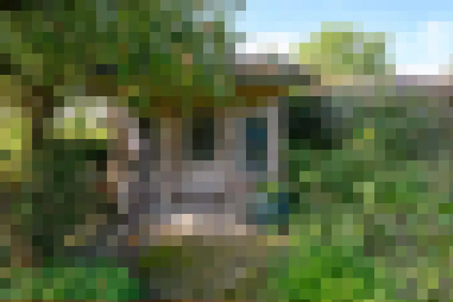 Boterstraat 3 Bronkhorst thumbnail 33