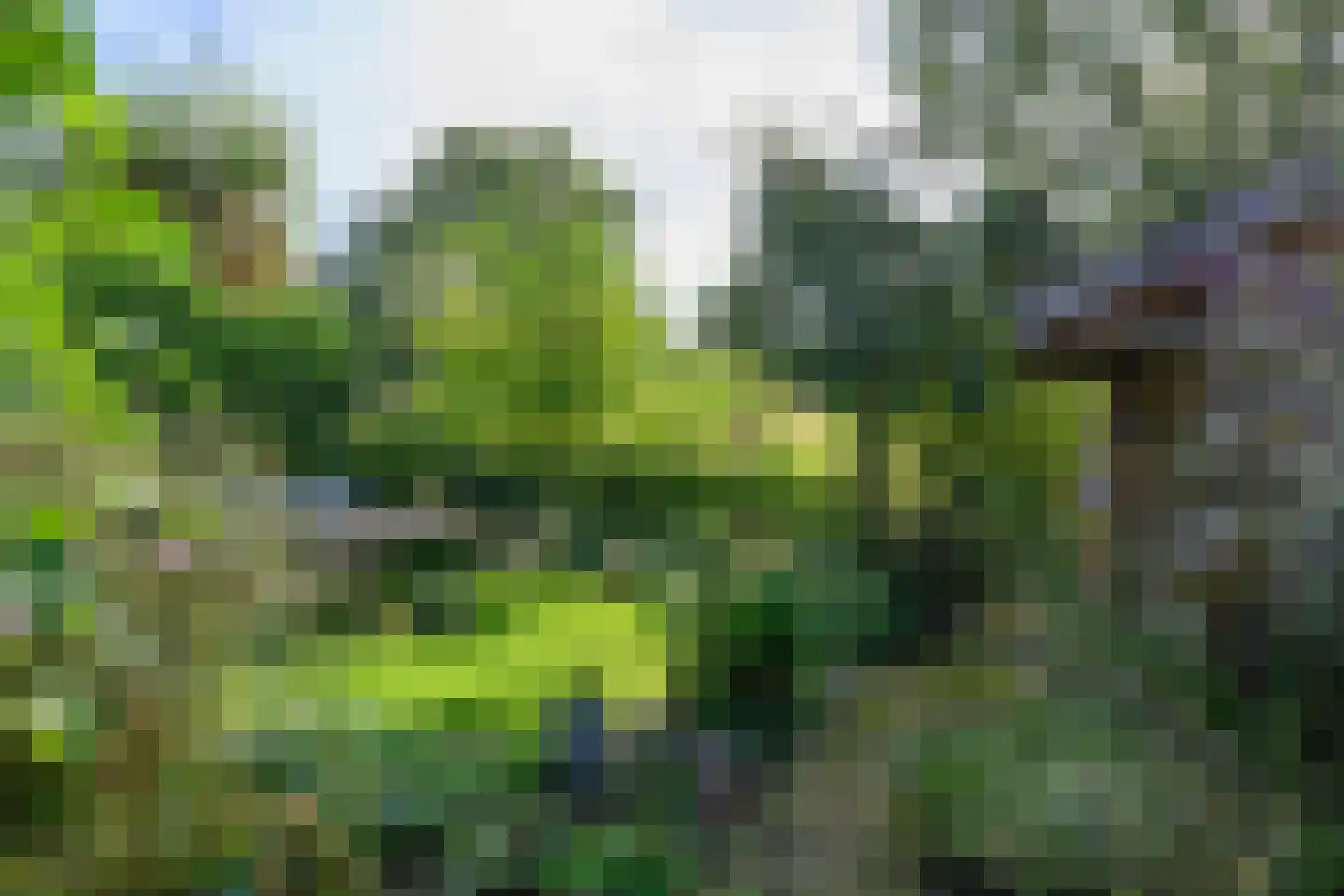 Boterstraat 3 Bronkhorst thumbnail 34