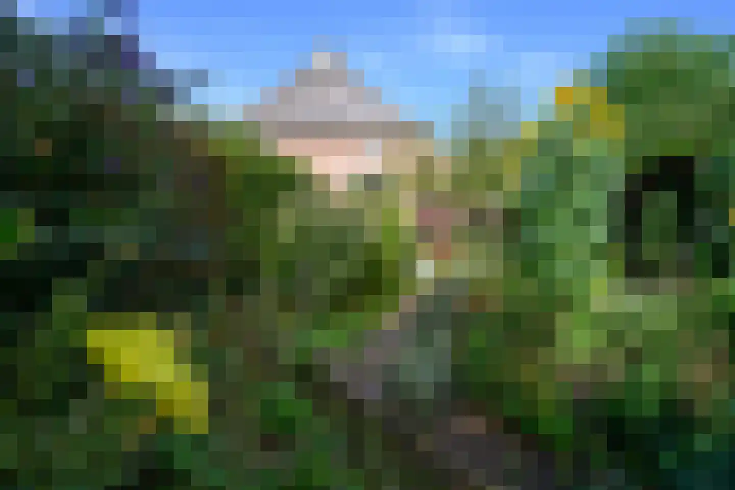 Boterstraat 3 Bronkhorst thumbnail 36