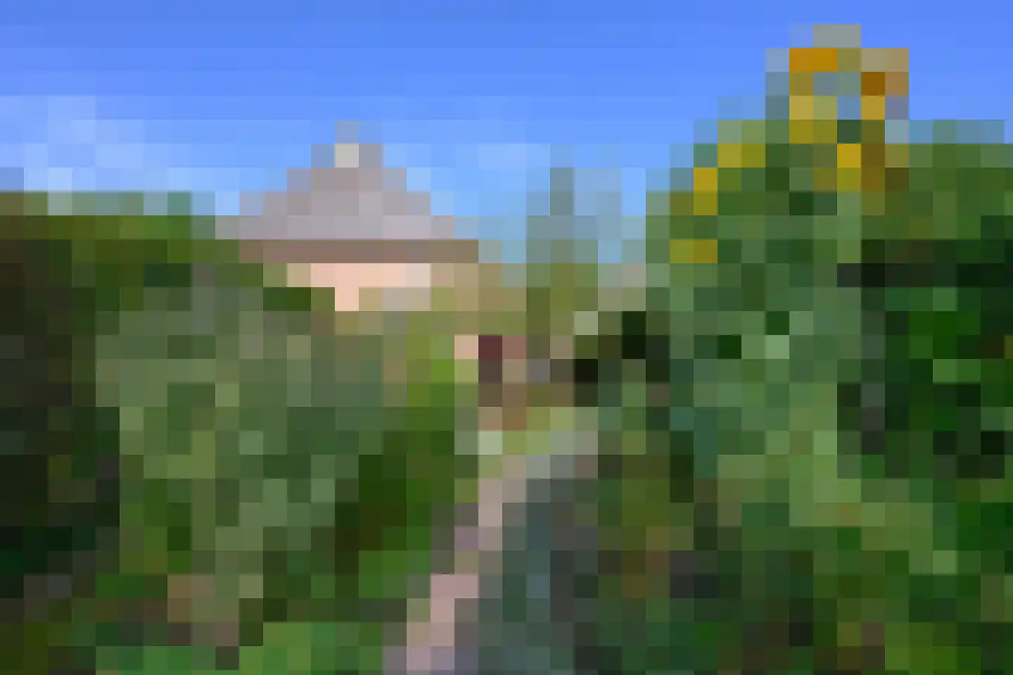 Boterstraat 3 Bronkhorst thumbnail 37