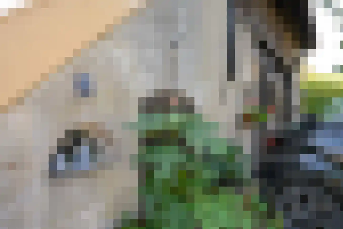 Boterstraat 3 Bronkhorst thumbnail 43