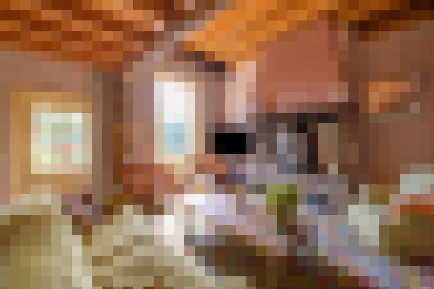 Boterstraat 3 Bronkhorst thumbnail 6