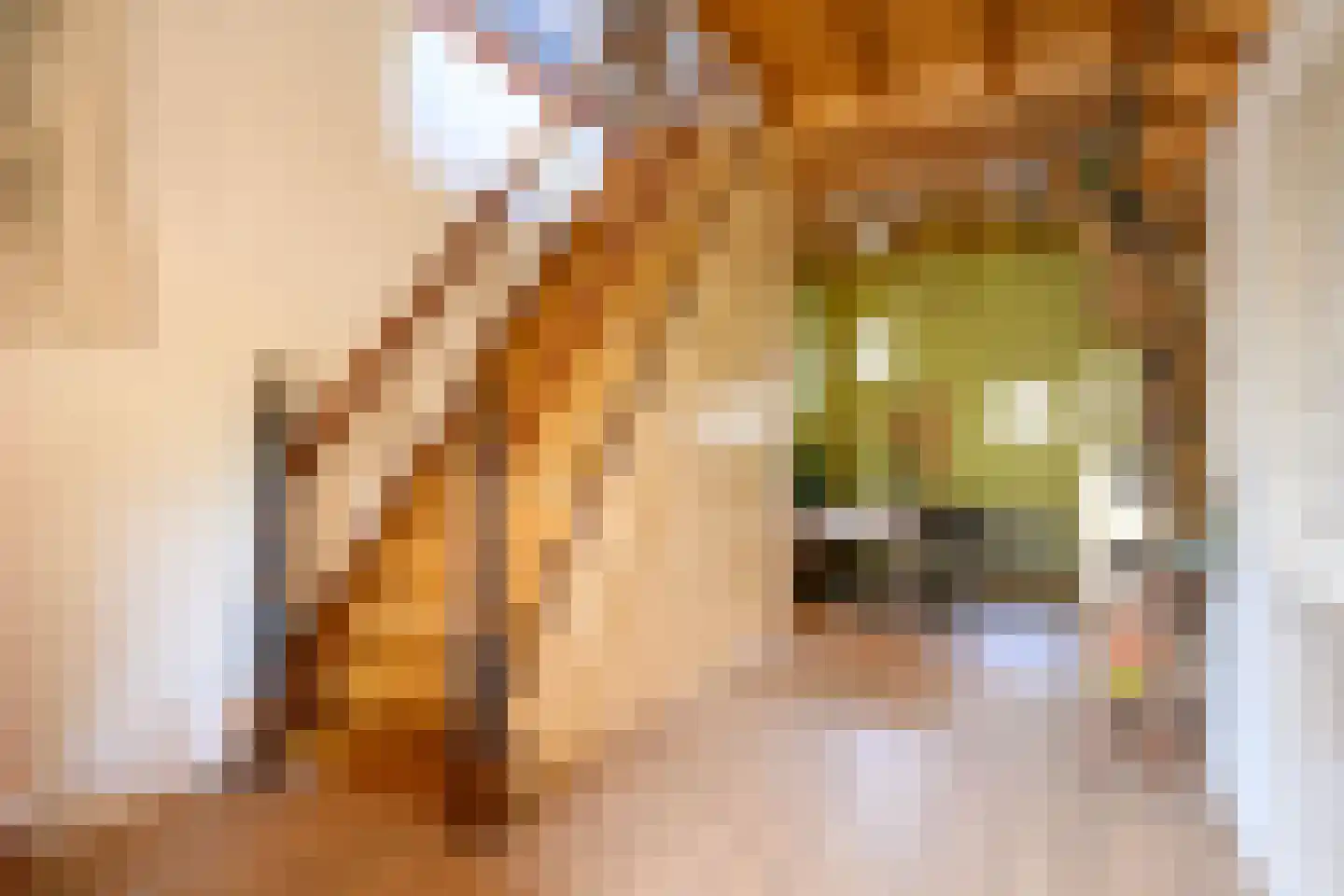 Boterstraat 3 Bronkhorst thumbnail 7