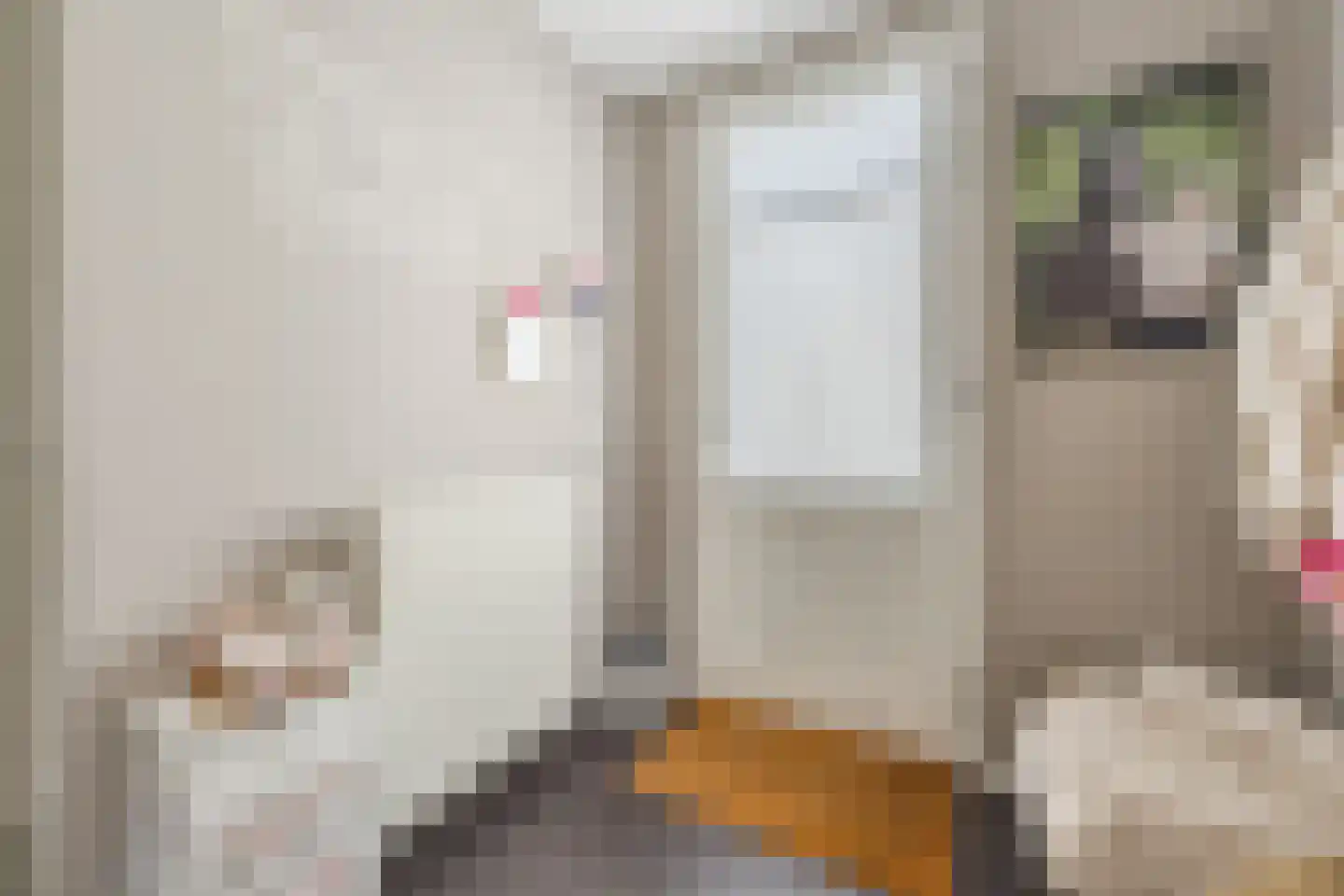 Boterstraat 3 c Brielle thumbnail 13