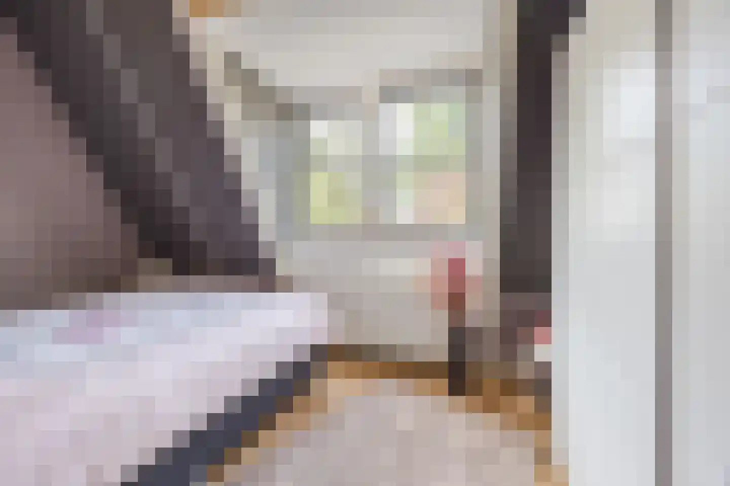 Boterstraat 3 c Brielle thumbnail 19