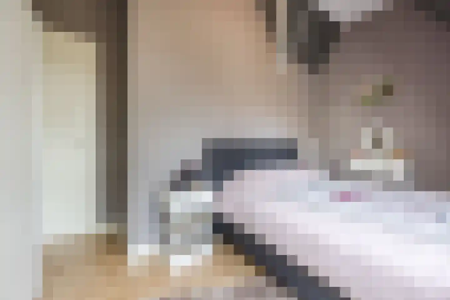 Boterstraat 3 c Brielle thumbnail 20