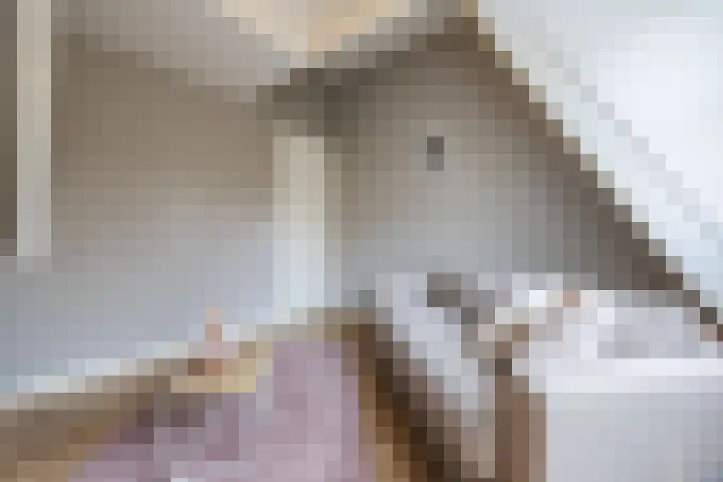 Boterstraat 3 c Brielle thumbnail 22