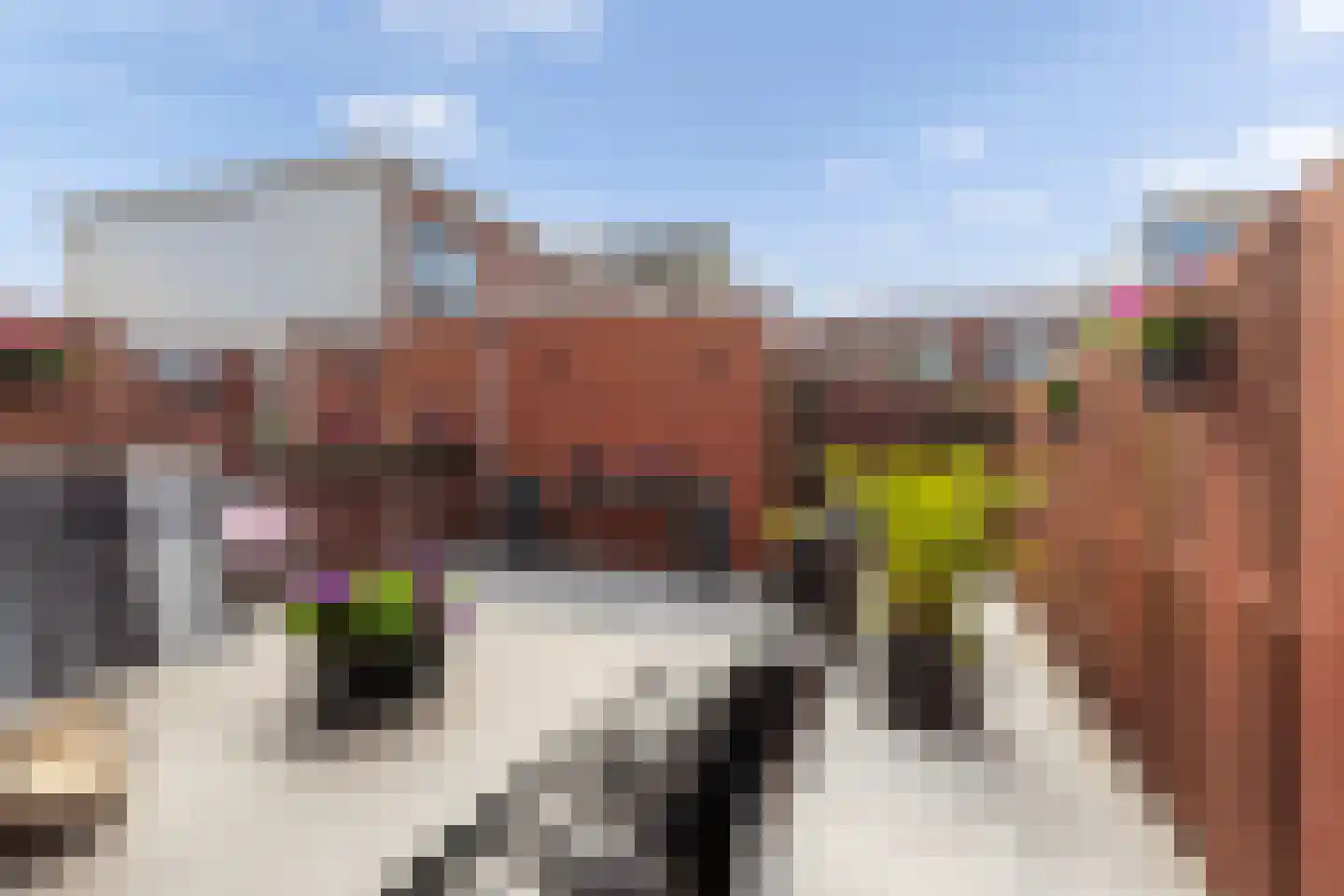 Boterstraat 37 Vlaardingen thumbnail 19
