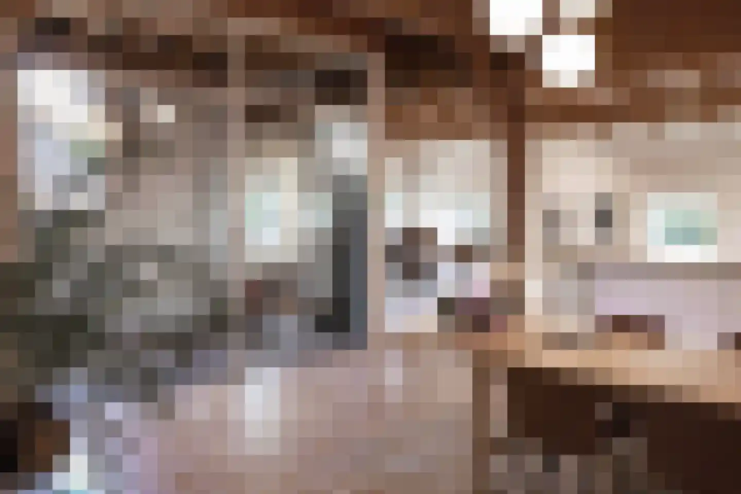Boterstraat 4 Bronkhorst thumbnail 10