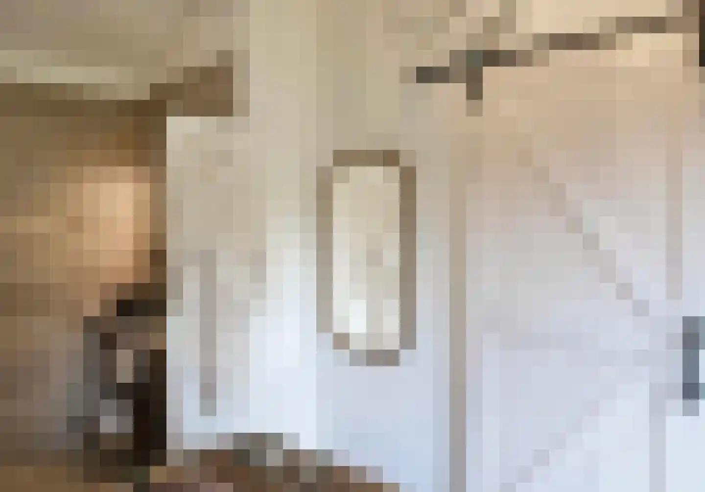 Boterstraat 4 Bronkhorst thumbnail 102