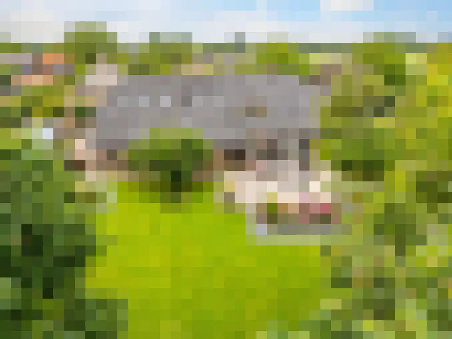 Boterstraat 4 Bronkhorst thumbnail 103