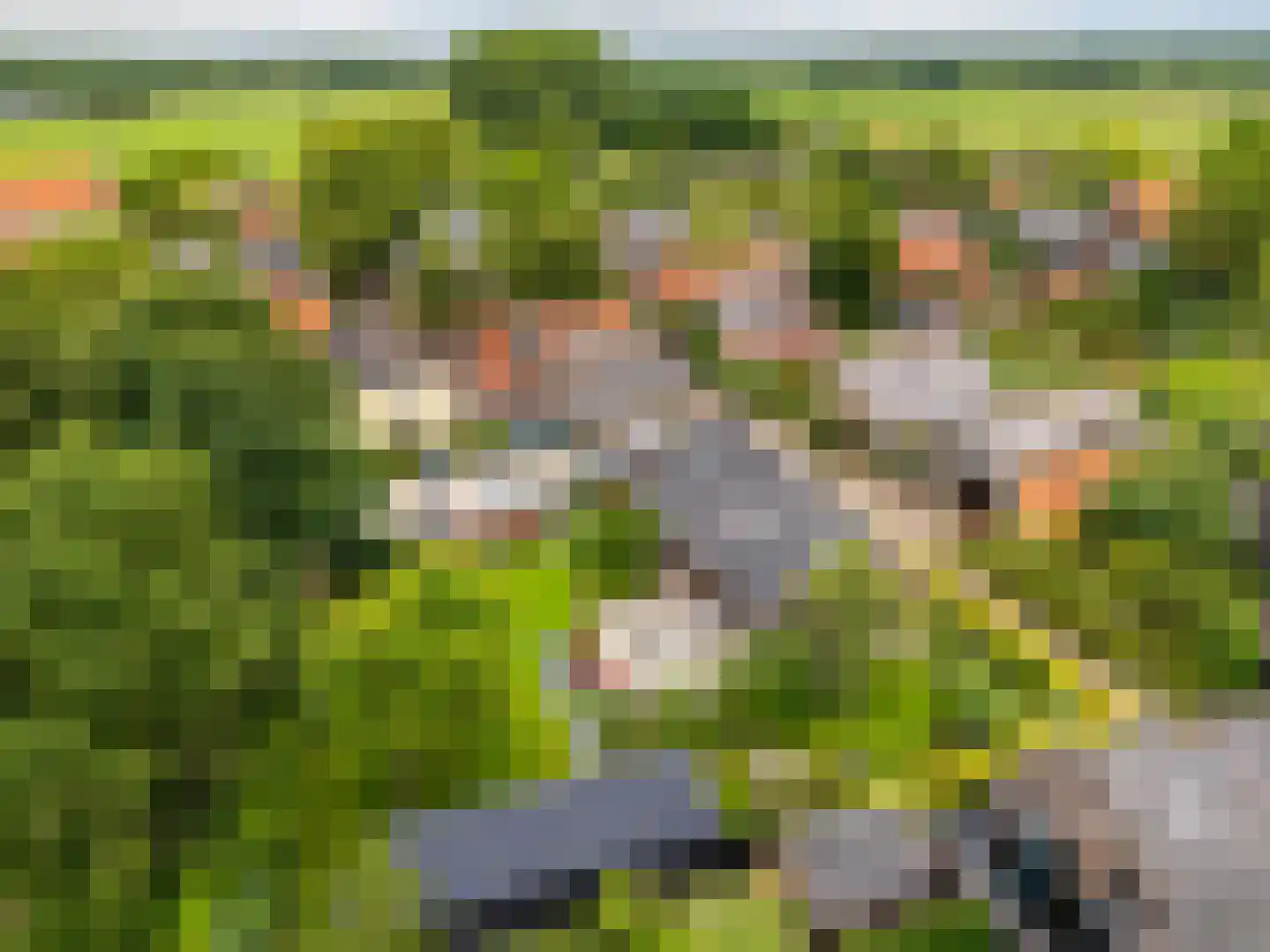 Boterstraat 4 Bronkhorst thumbnail 104