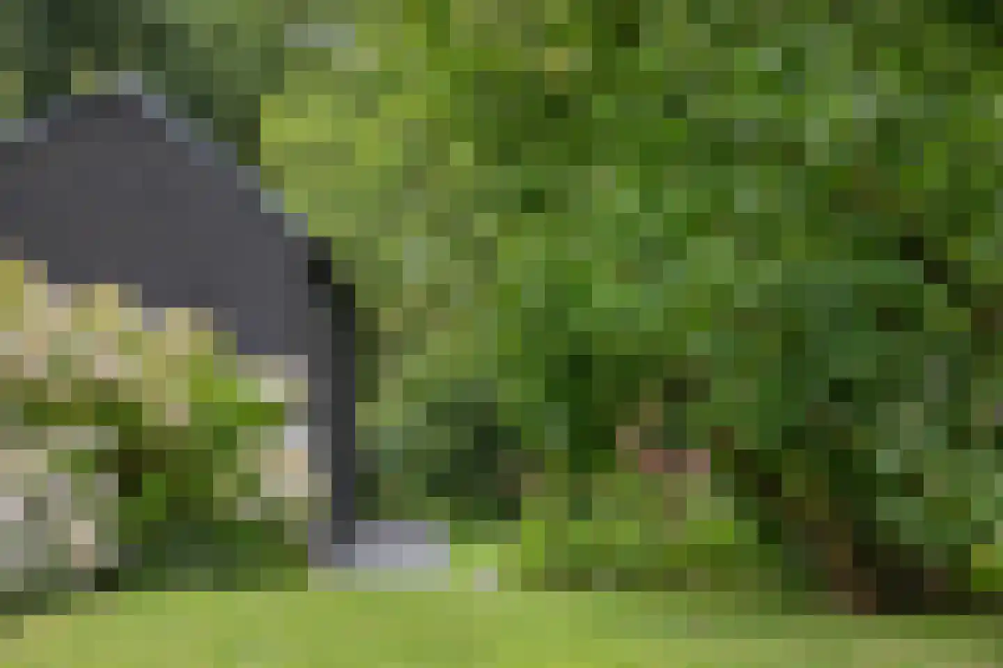 Boterstraat 4 Bronkhorst thumbnail 110