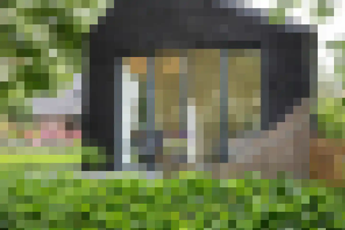 Boterstraat 4 Bronkhorst thumbnail 115