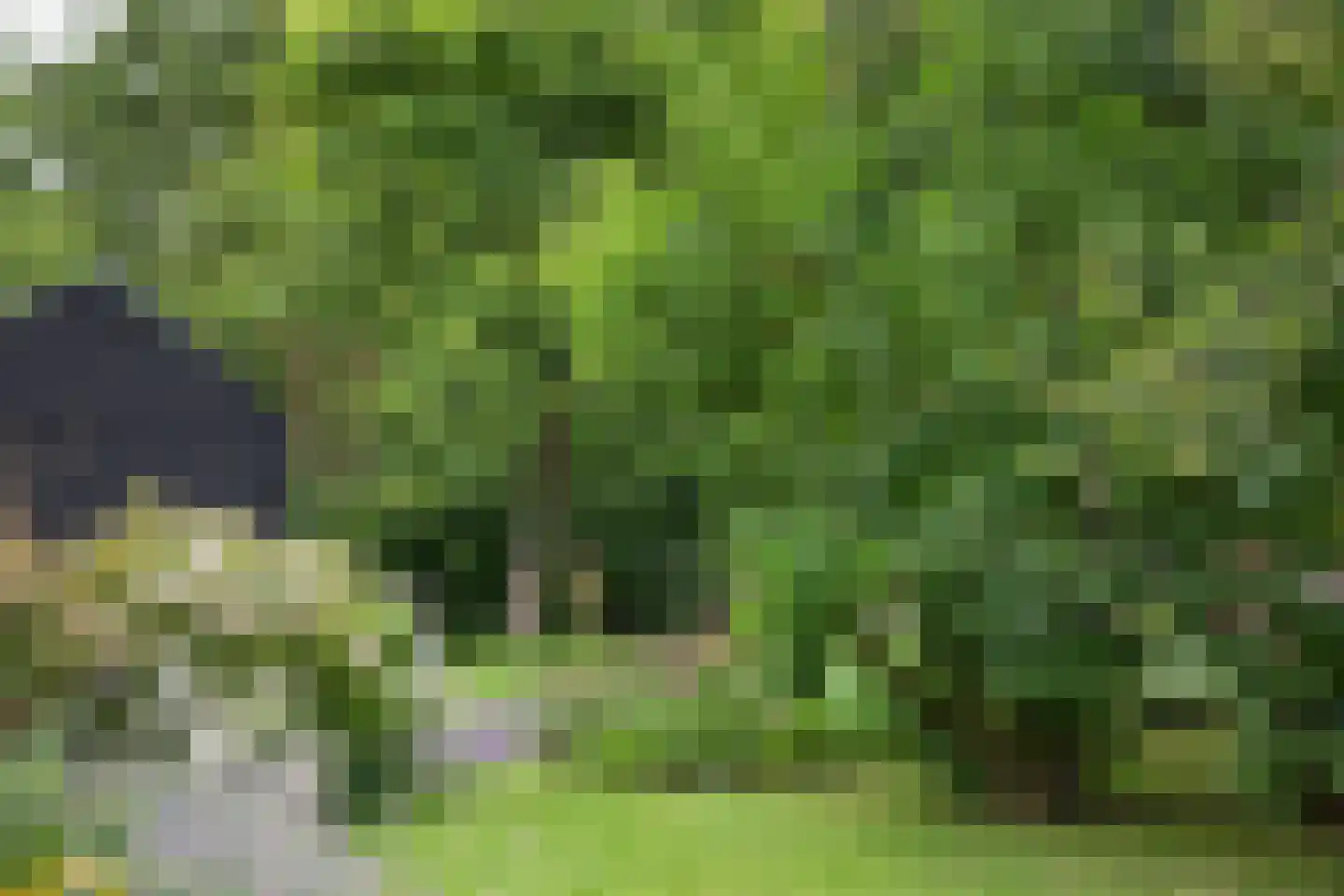 Boterstraat 4 Bronkhorst thumbnail 117