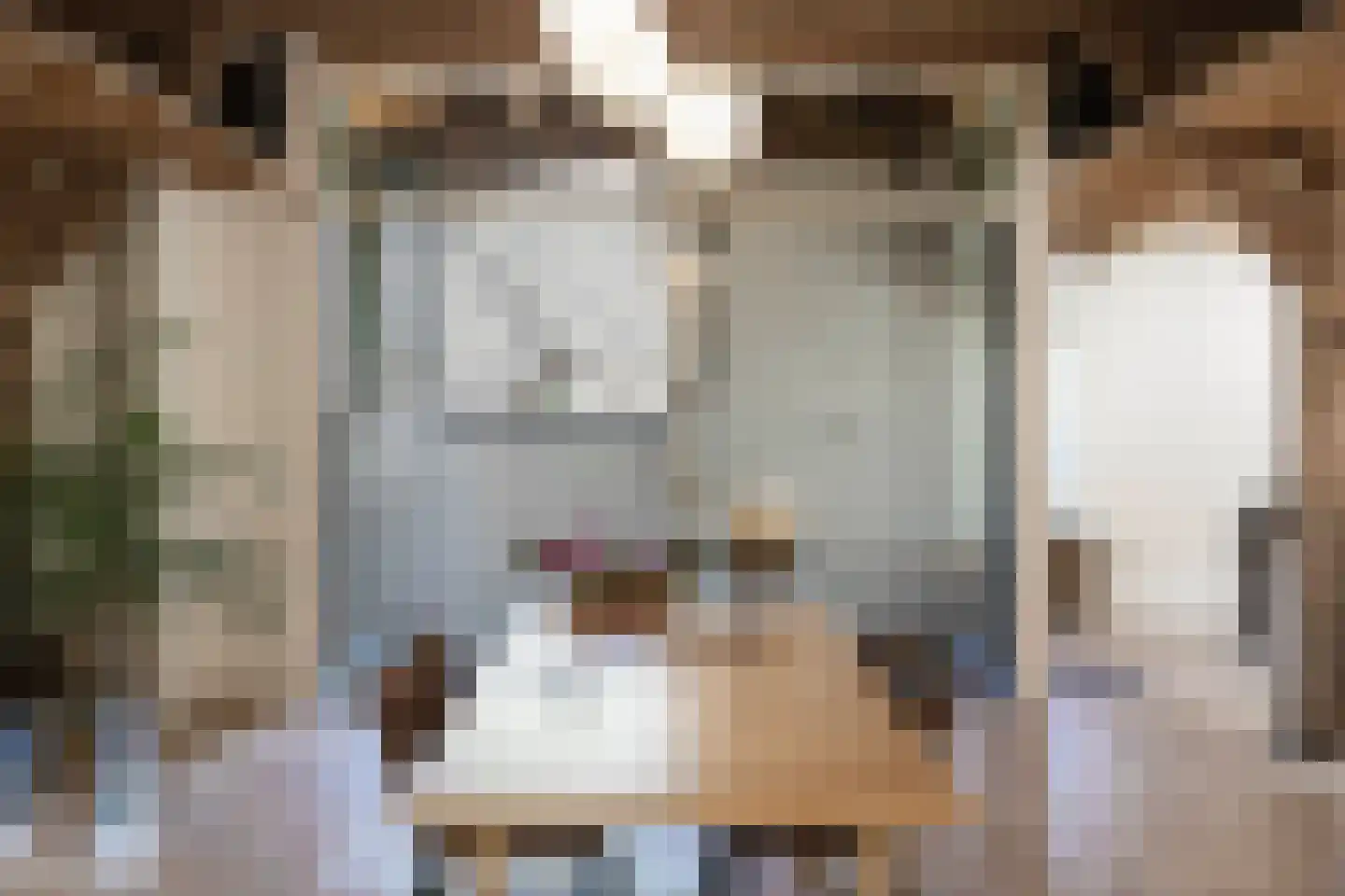 Boterstraat 4 Bronkhorst thumbnail 12