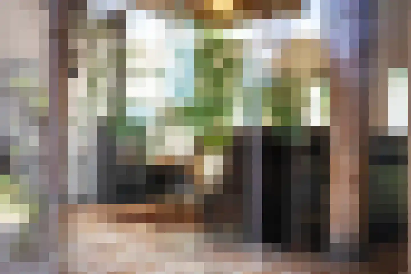 Boterstraat 4 Bronkhorst thumbnail 18