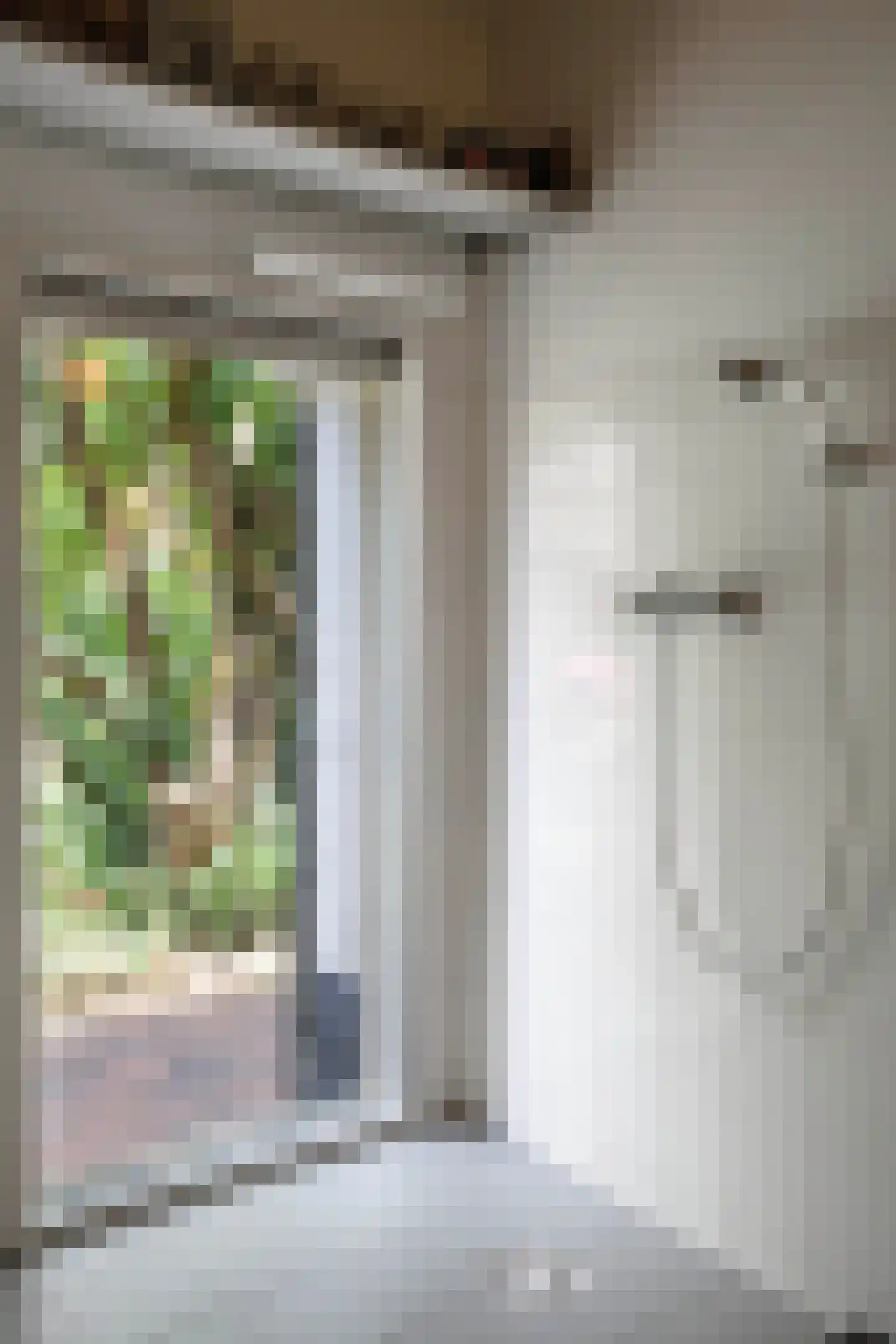 Boterstraat 4 Bronkhorst thumbnail 19
