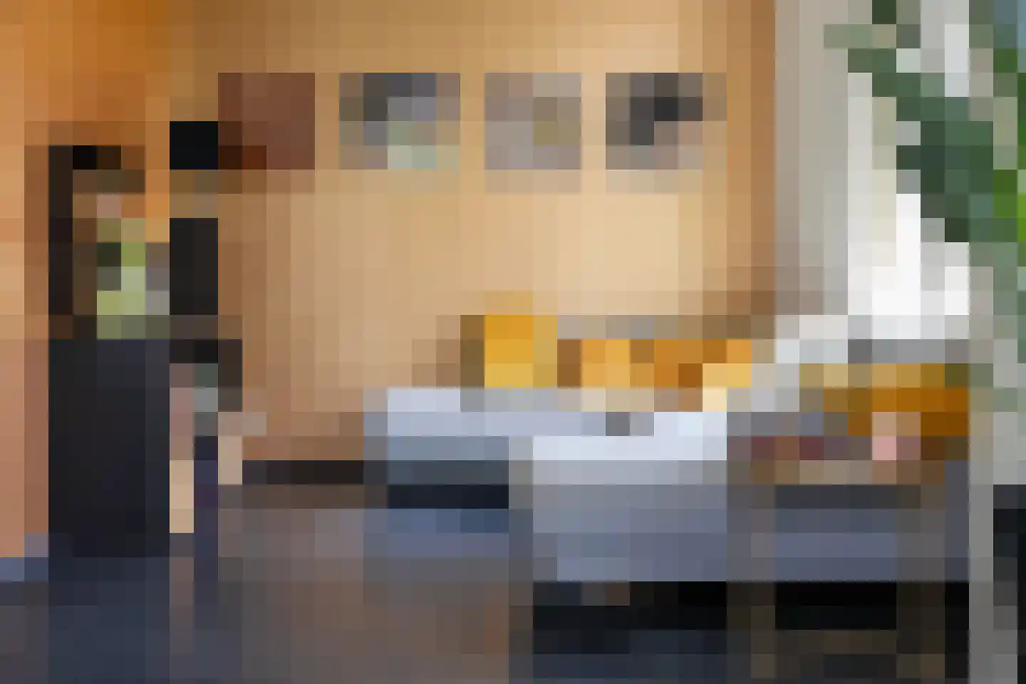 Boterstraat 4 Bronkhorst thumbnail 20