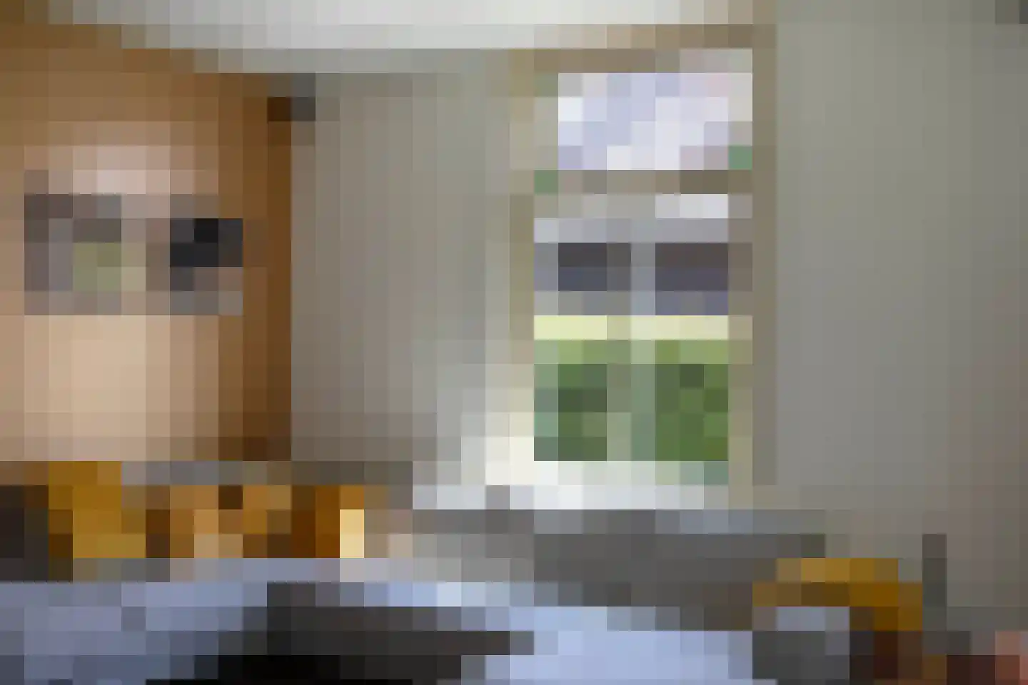 Boterstraat 4 Bronkhorst thumbnail 28