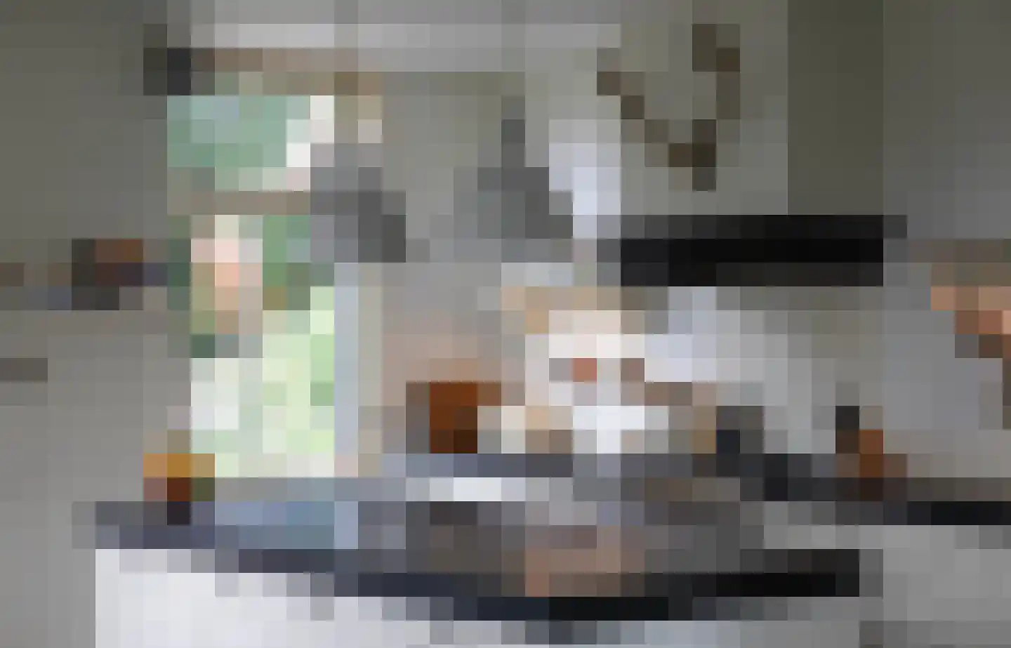 Boterstraat 4 Bronkhorst thumbnail 32